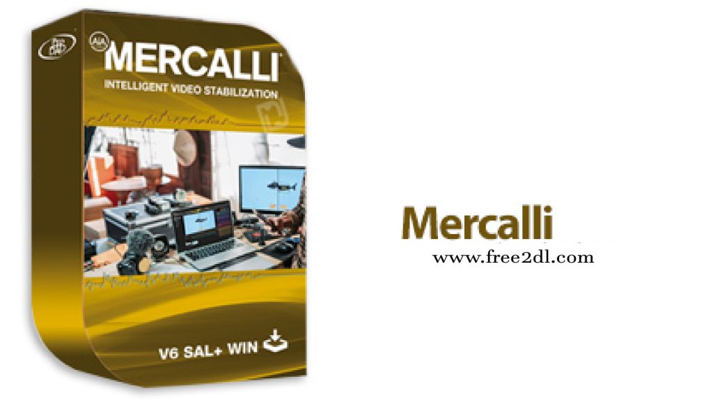ProDAD Mercalli Sal